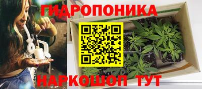 a pvp Донецк