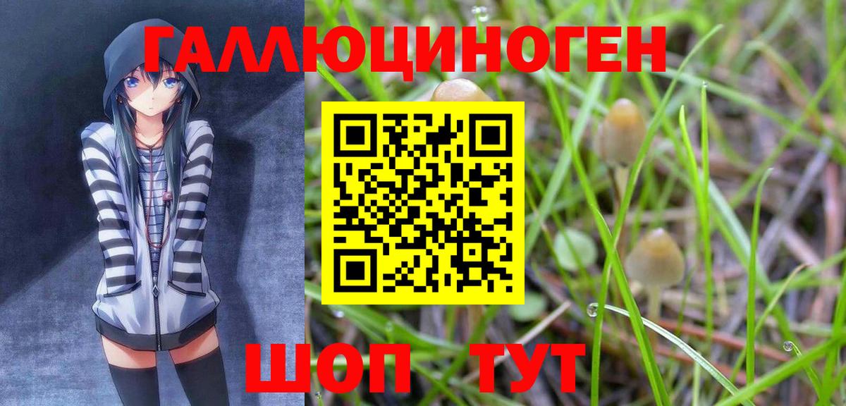 Набережные Челны  Галлюциногенные грибы MAGIC MUSHROOMS  Галлюциногенные грибы Cubensis  Вход с VPN 