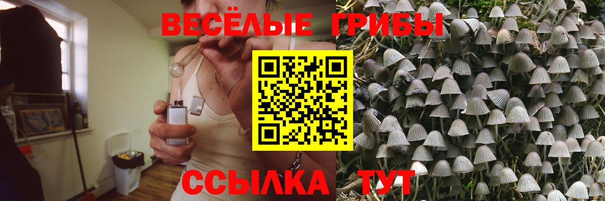 Псилоцибиновые грибы GOLDEN TEACHER Набережные Челны